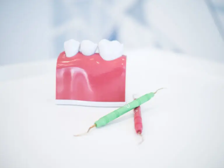 Model dentystyczny dziąseł i zębów, często używany w periodontologii, jest umieszczony na białej powierzchni obok dwóch narzędzi dentystycznych, jednego zielonego i jednego czerwonego, z rozmytym tłem.